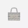 Dior Book Mini Bag